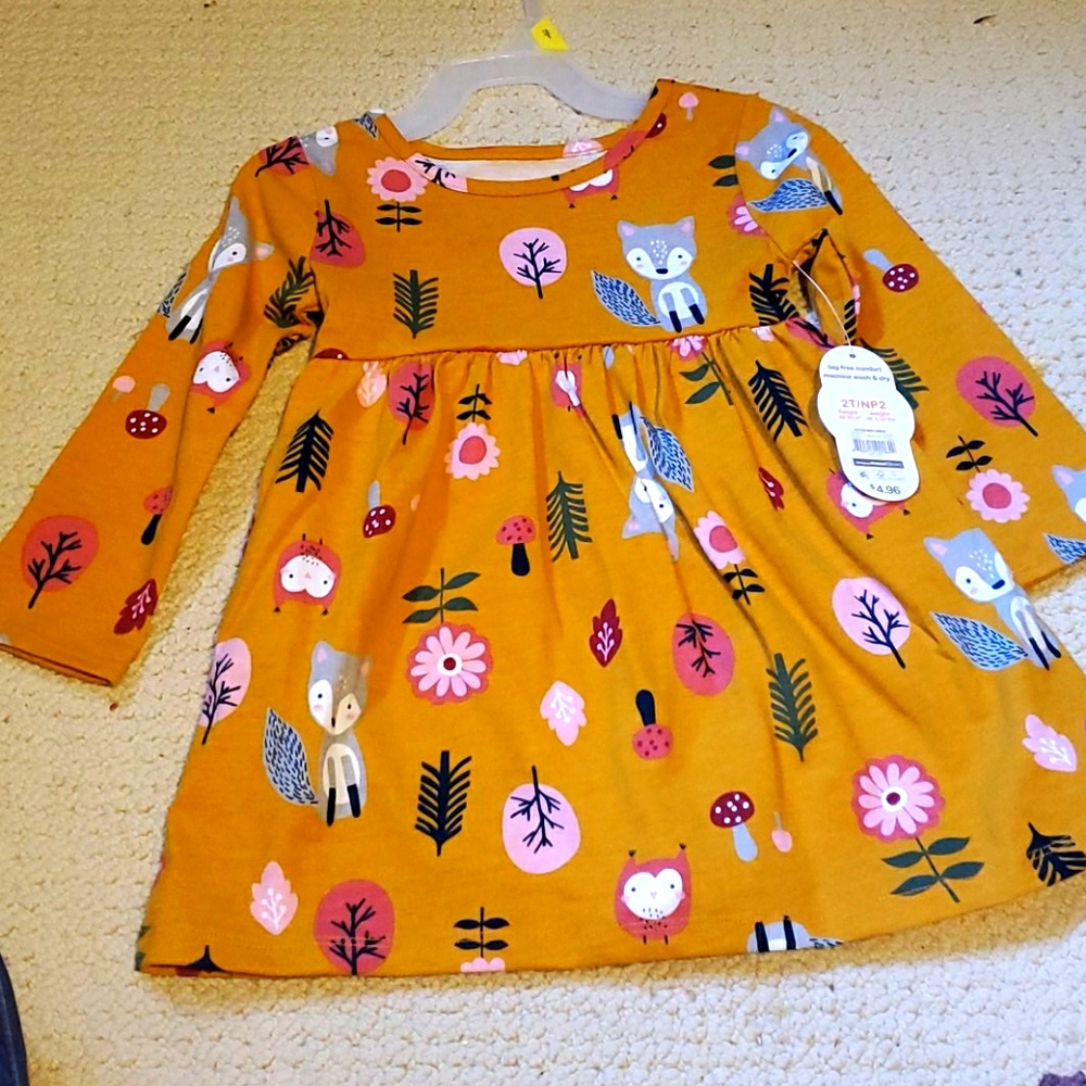 2T girls dress